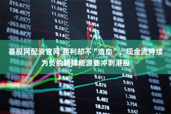 喜股网配资官网 盈利却不“造血”，现金流持续为负的鹏辉能源要冲刺港股