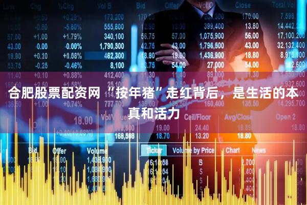 合肥股票配资网 “按年猪”走红背后，是生活的本真和活力